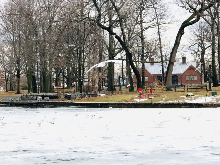 IMG_6485.jpg?type=w966