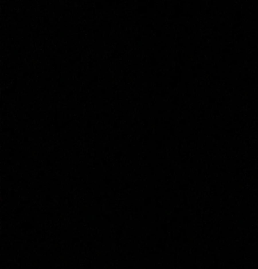 IMG_0147.jpg?type=w966