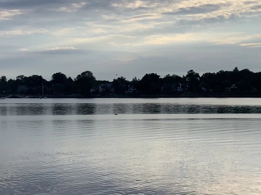 IMG_7737.jpg?type=w966