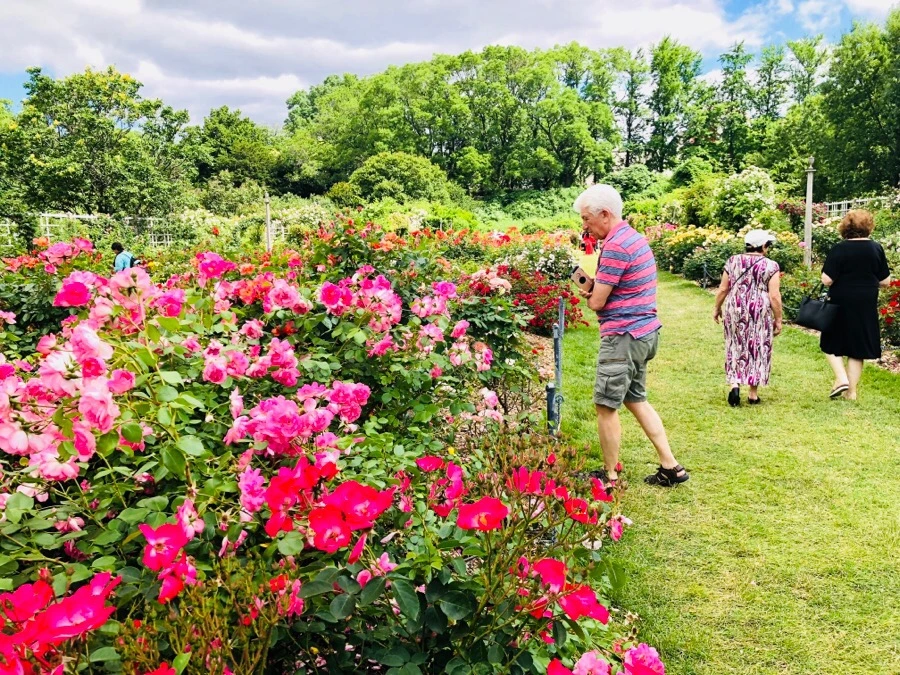 IMG_7910.jpg?type=w966