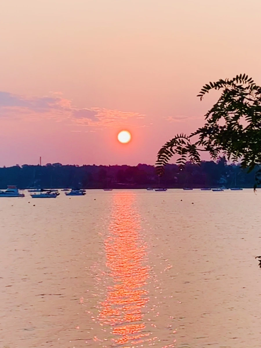 IMG_2502.jpg?type=w966