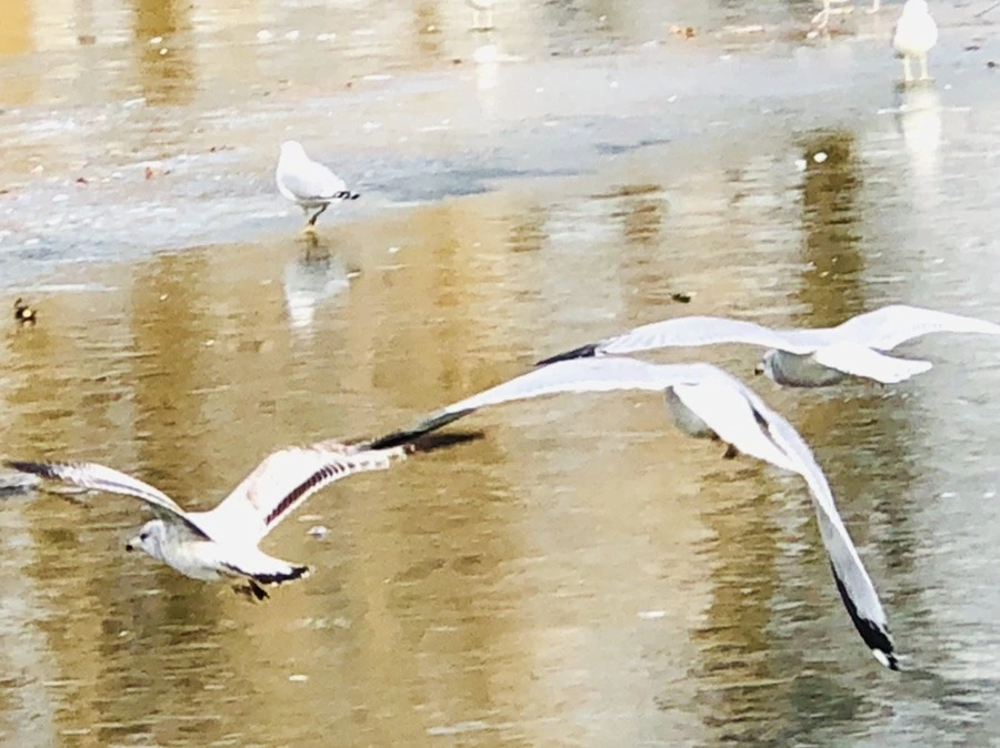 iF0l9kcei2WAUb475Yp7tExtjAE