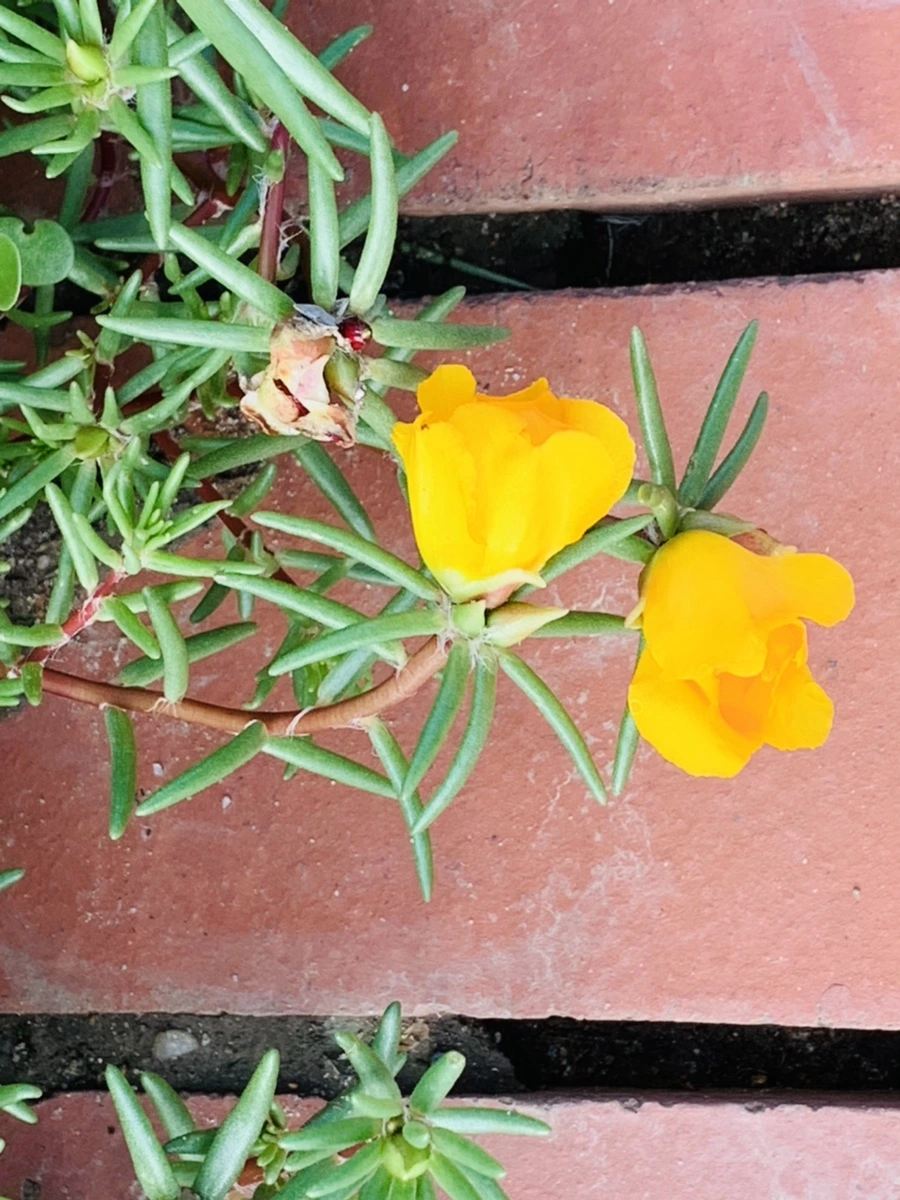 IMG_0358.jpg?type=w966