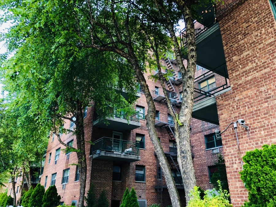 IMG_4214.jpg?type=w966