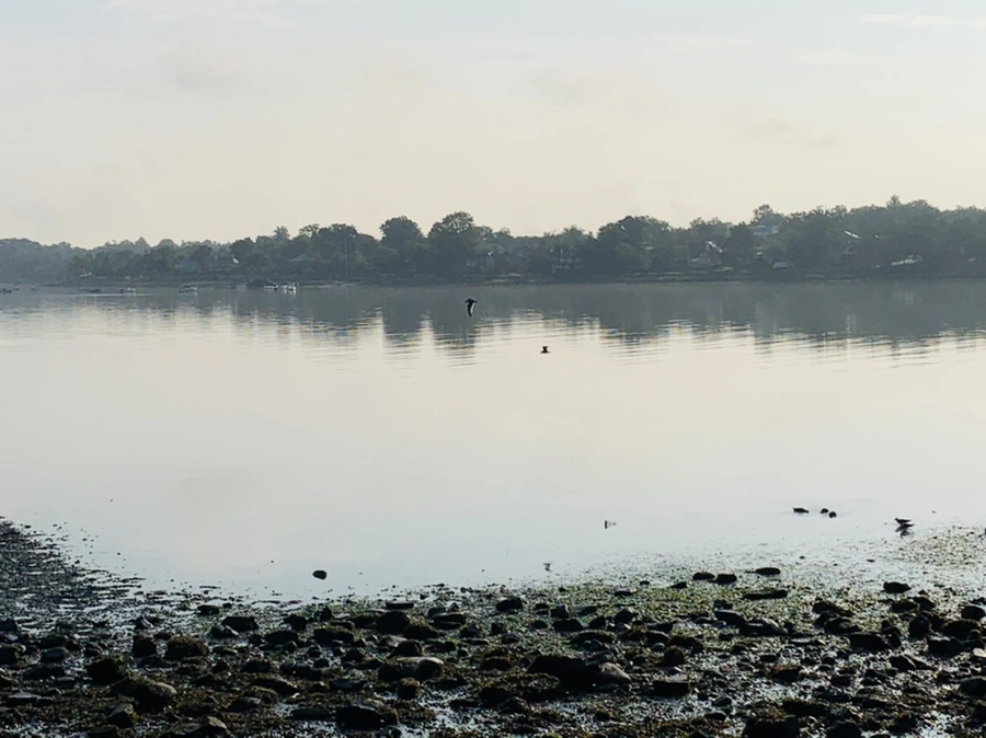 IMG_4363.jpg?type=w966