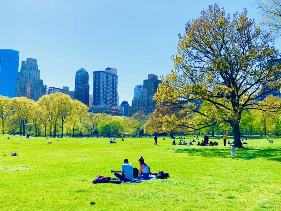 IMG_6029.jpg?type=w966