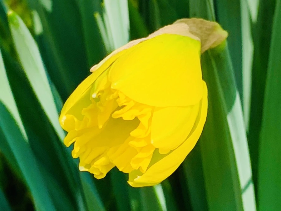 IMG_4279.jpg?type=w966