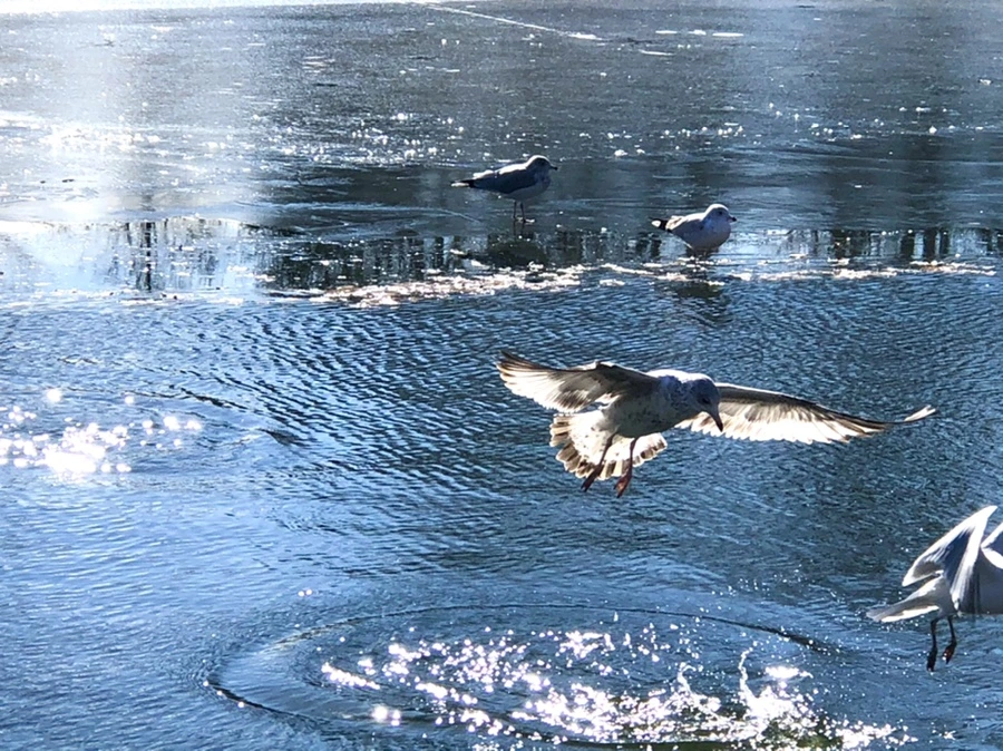 IMG_6828.jpg?type=w966