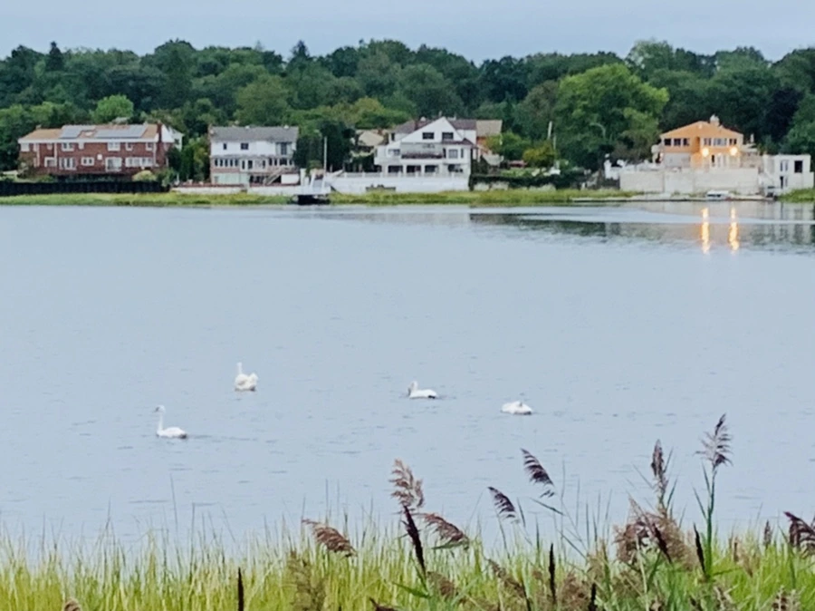 IMG_6171.jpg?type=w966