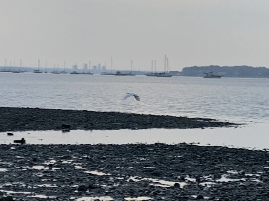 IMG_8178.jpg?type=w966