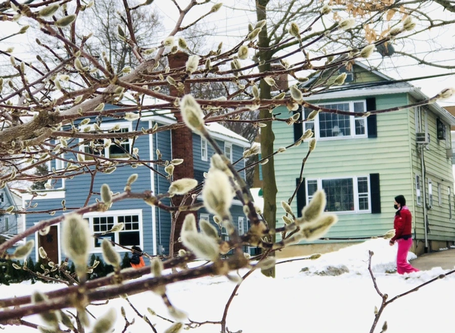 IMG_2774.jpg?type=w966