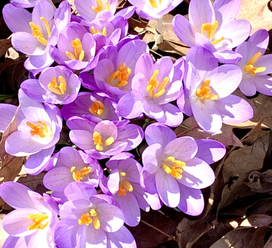 IMG_9781.jpg?type=w966