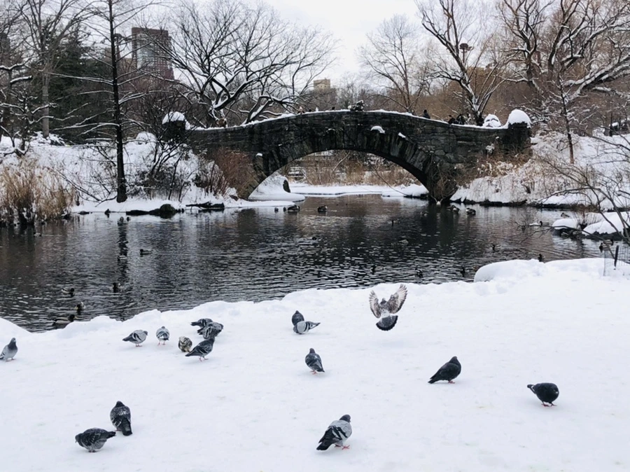 IMG_9590.jpg?type=w966