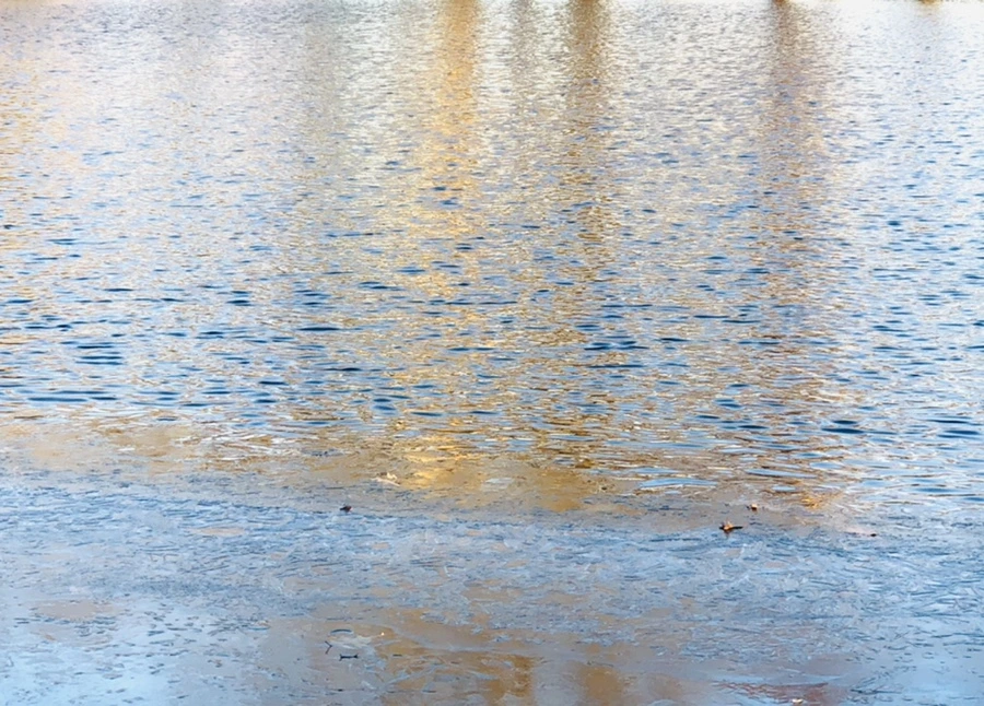 IMG_1100.jpg?type=w966