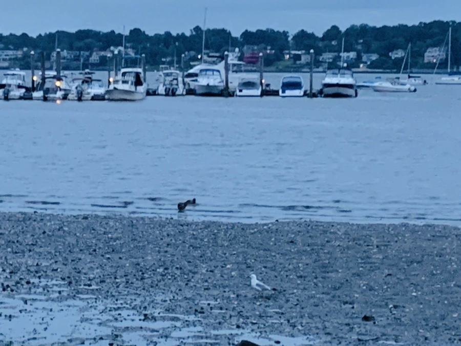 IMG_6741.jpg?type=w966