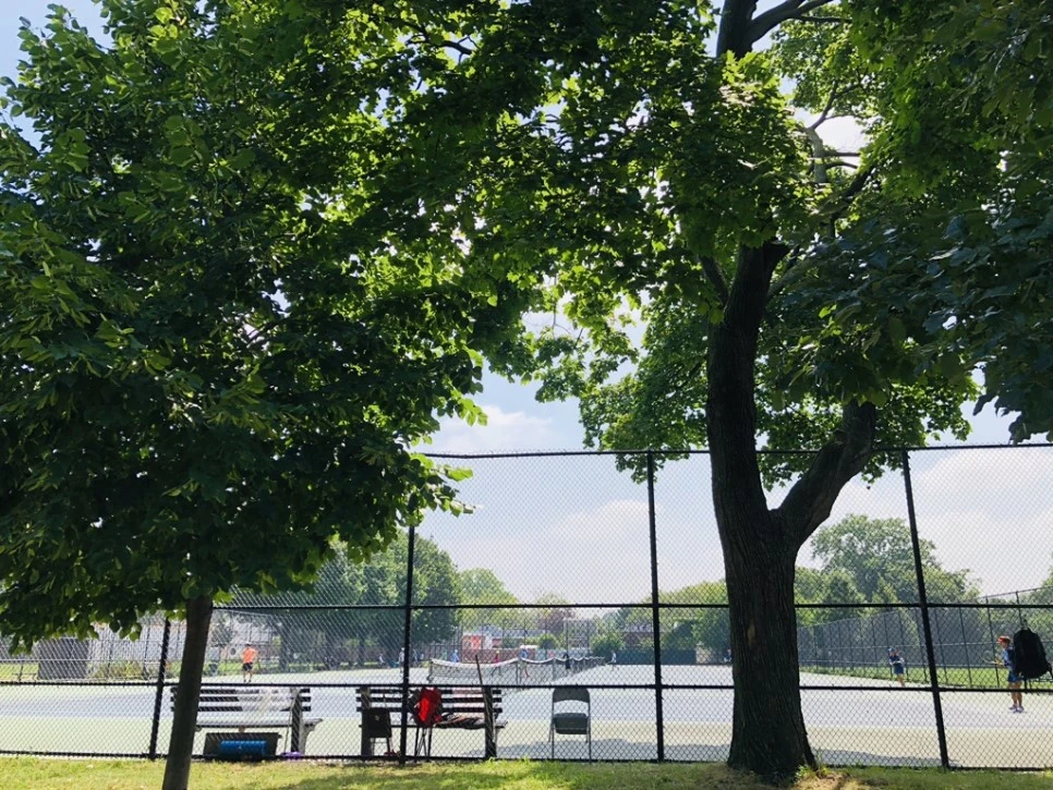 IMG_7663.jpg?type=w966