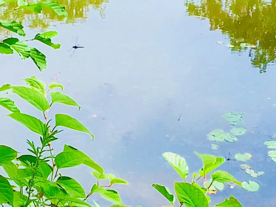 IMG_9344.jpg?type=w966