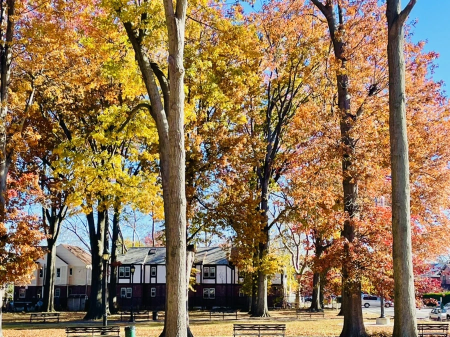 IMG_4672.jpg?type=w966