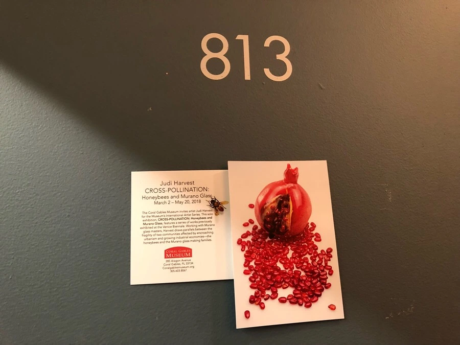 IMG_7505.jpg?type=w966