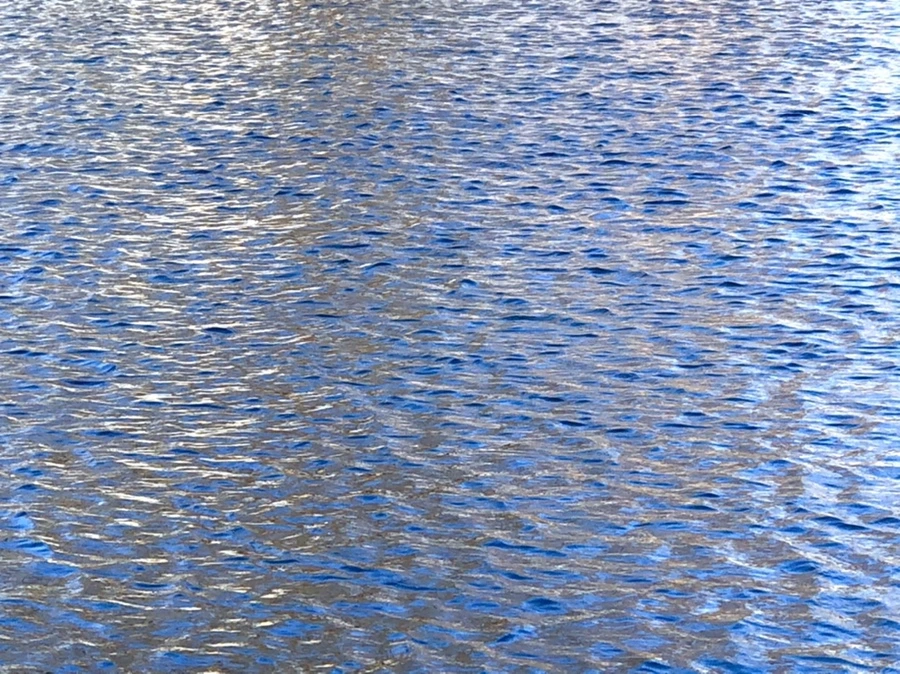 IMG_3791.jpg?type=w966