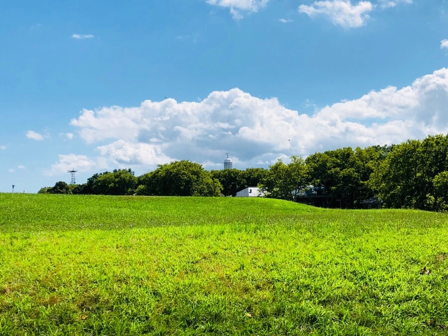 IMG_0538.jpg?type=w966