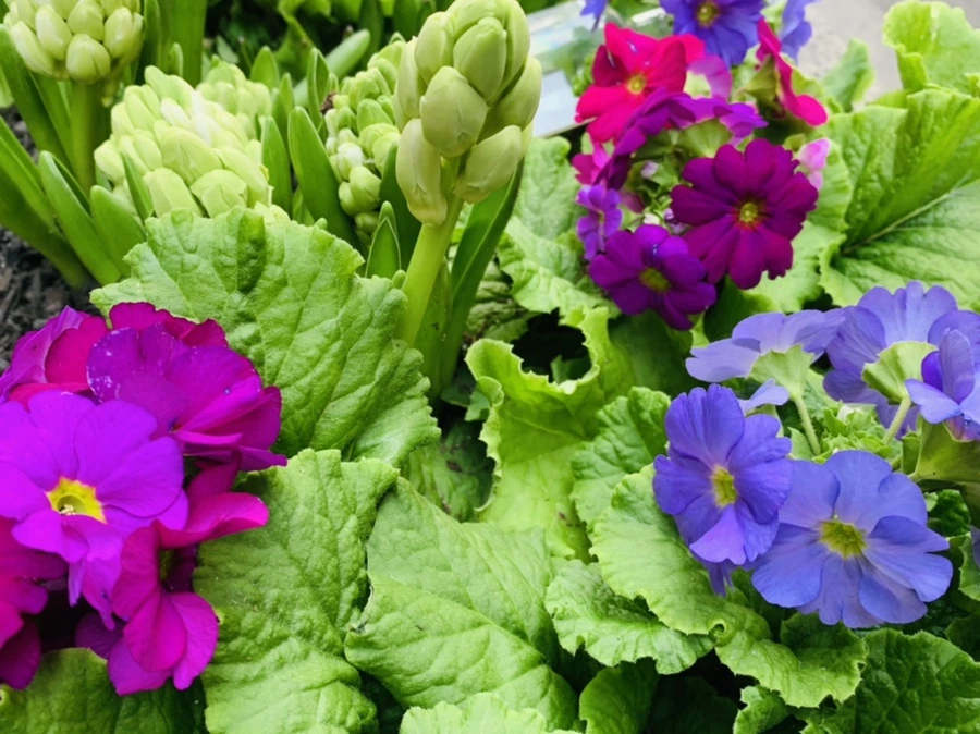 IMG_4646.jpg?type=w966