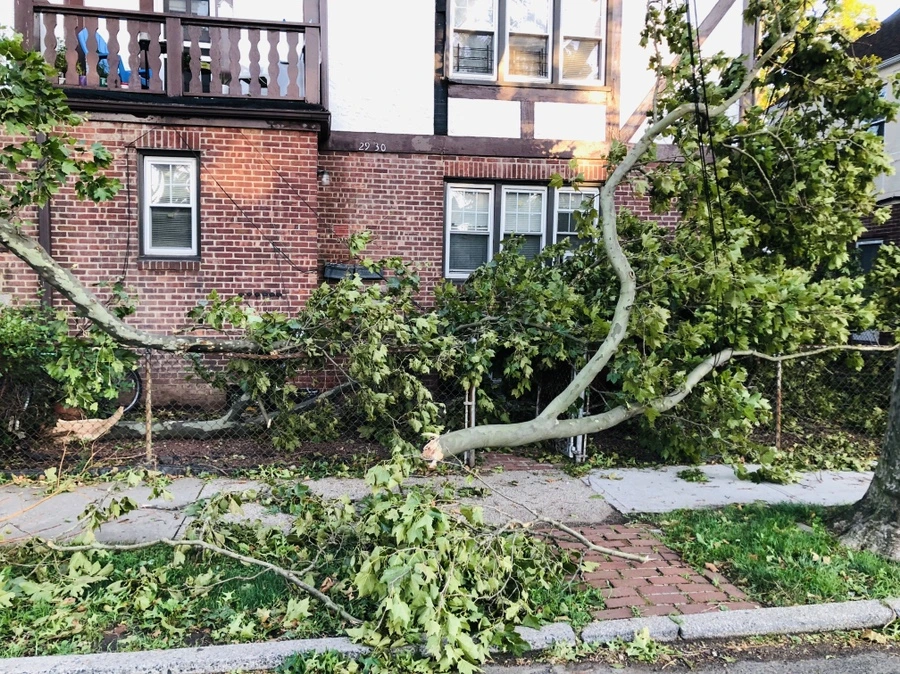 IMG_5852.jpg?type=w966