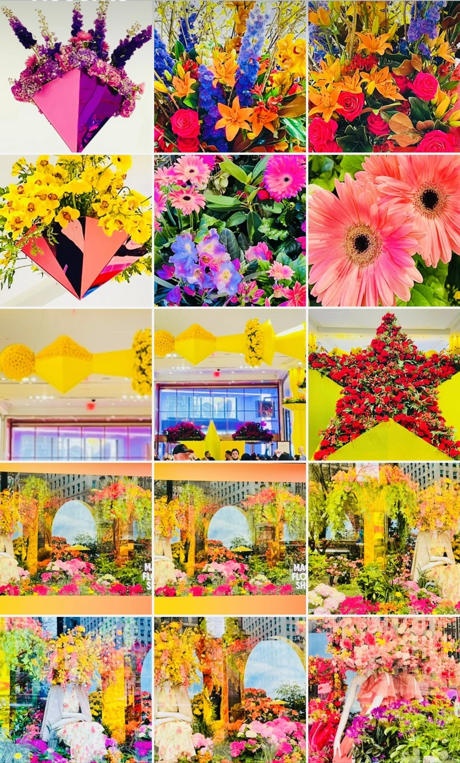 IMG_7692.jpg?type=w966