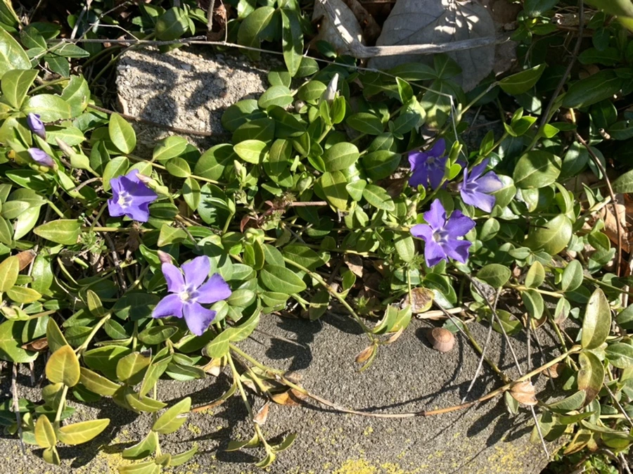 IMG_2576.jpg?type=w966