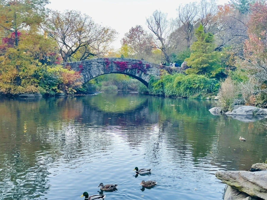 IMG_1498.jpg?type=w966