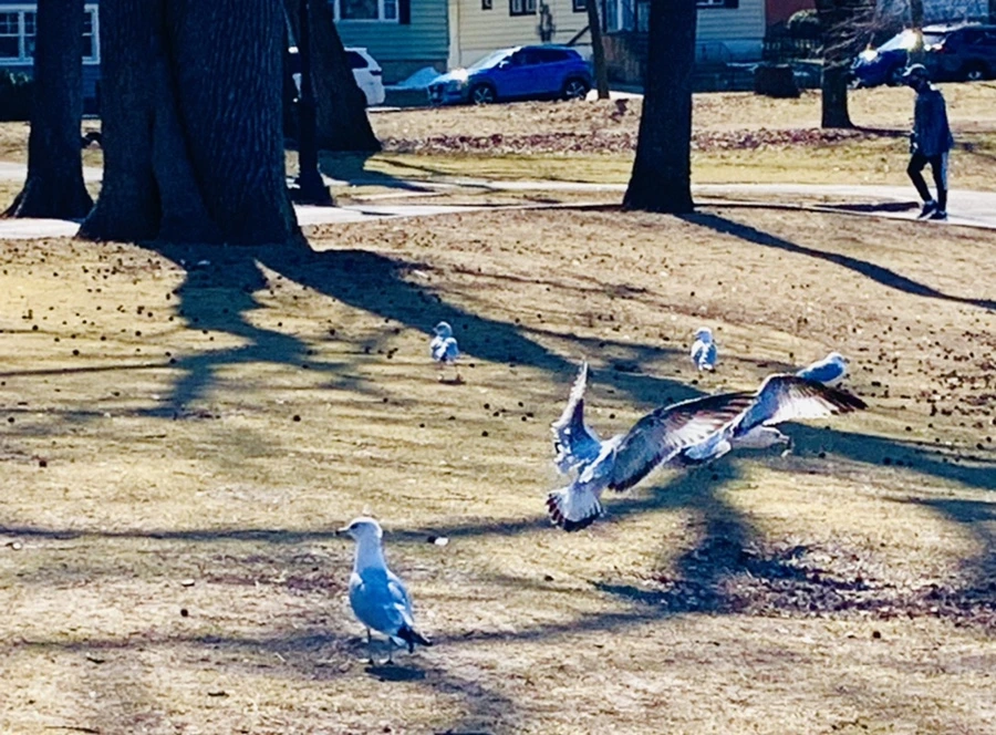 IMG_9343.jpg?type=w966