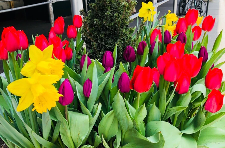 IMG_4268.jpg?type=w966