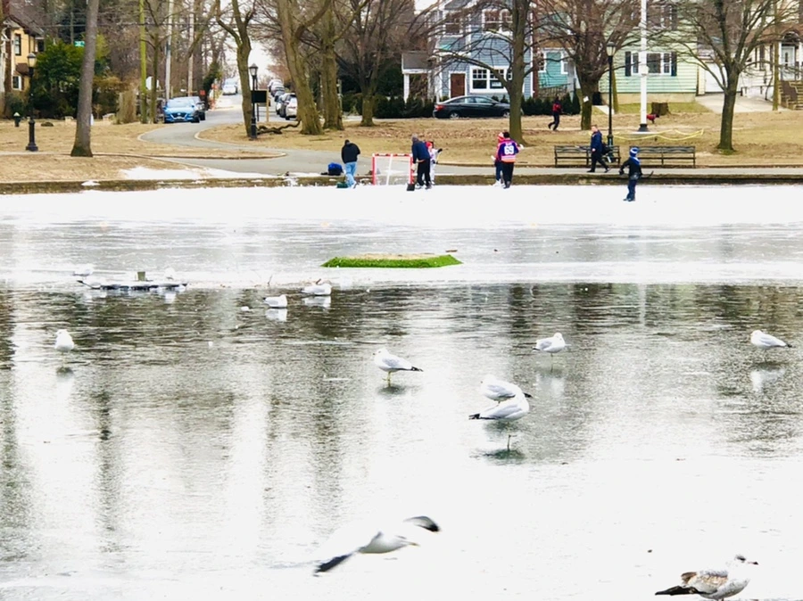 IMG_8393.jpg?type=w966