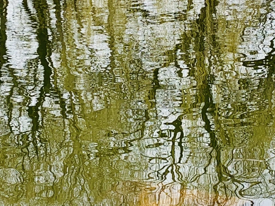 IMG_3830.jpg?type=w966