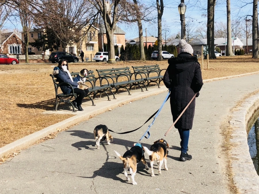 IMG_5689.jpg?type=w966