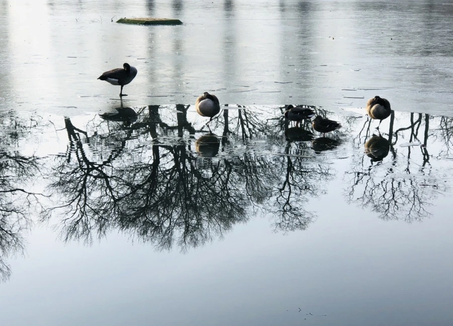 IMG_2528.jpg?type=w966