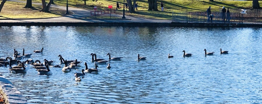 IMG_9273.jpg?type=w966