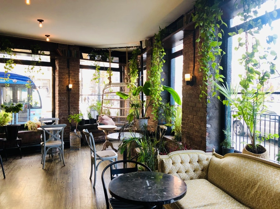 IMG_6780.jpg?type=w966