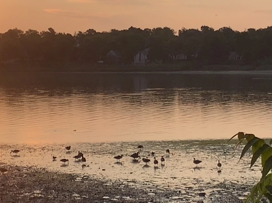 IMG_9579.jpg?type=w966