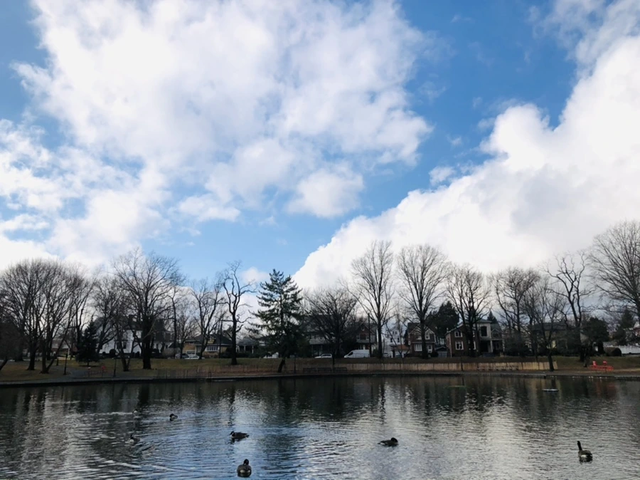 IMG_3498.jpg?type=w966