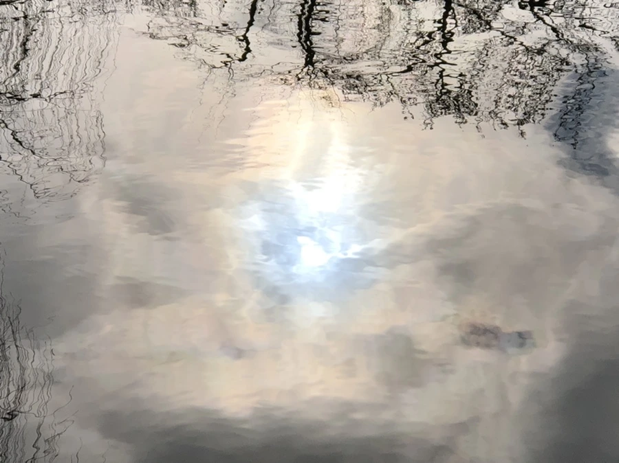 IMG_9875.jpg?type=w966