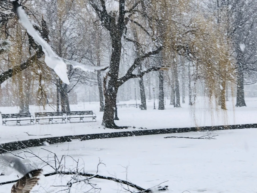 IMG_4175.jpg?type=w966