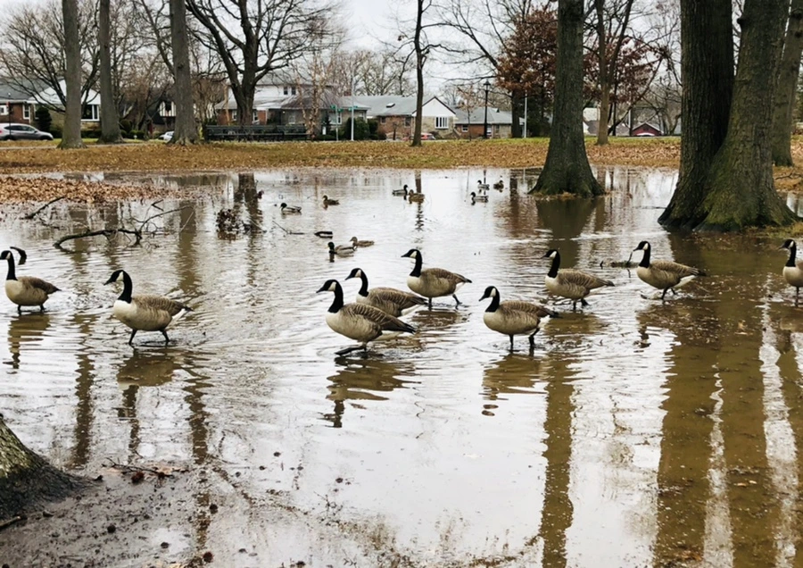 IMG_9653.jpg?type=w966