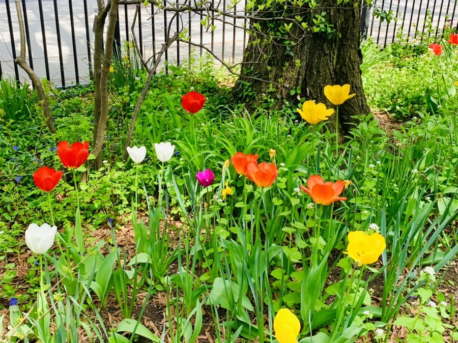 IMG_6855.jpg?type=w966