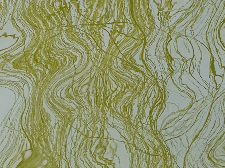 IMG_4428.jpg?type=w966