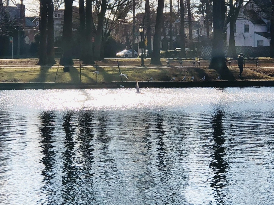 IMG_4198.jpg?type=w966