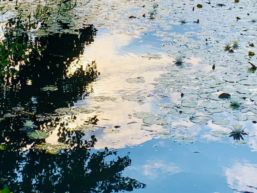 IMG_5867.jpg?type=w966