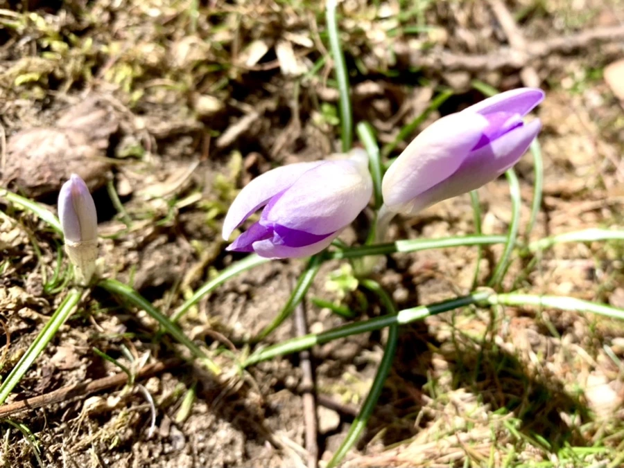 IMG_7464.jpg?type=w966