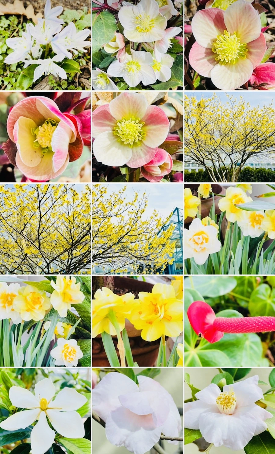 IMG_4261.jpg?type=w966