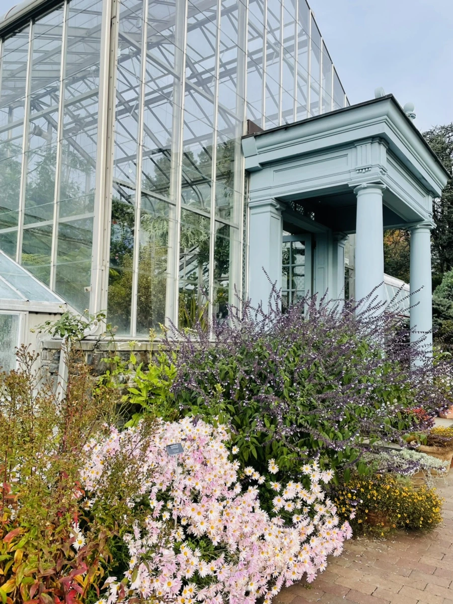 IMG_2409.jpg?type=w966